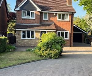 Photo 25- click for photo gallery